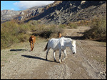 way to the valley of ghosts