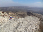 the hill view 