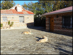 the Marten guest house