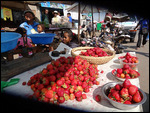 les premières fraises, c'est le début du printemps