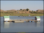 ferme acquacole