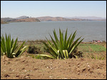 lac Itasy , vers le sud