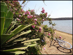 le tour du lac en vélo