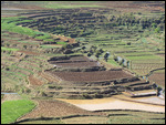 rice fields near Betafo