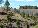 non loin du col des tapias