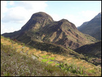 paysage Zafi