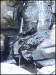 cascade vorondolo