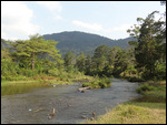 riviere vorondolo