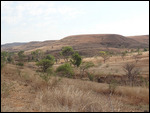 steppes