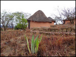 the bungalow from a bit far