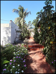 jardin de mon hôtel , chez Lala