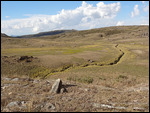 steppe sur le plateau, face au camp1