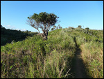 le chemin du retour,