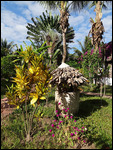 jardin de La Pirogue