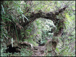 sentier 