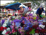 marché aux fleurs