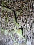 grotte