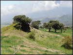 pâturages , route du volcane 15eme km.