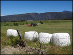 bucolique à souhait