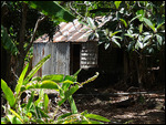 case, grand bassin