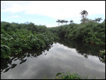 etang st  paul