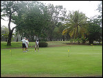 golf d'étang salé