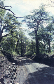 Road leading up to the caves