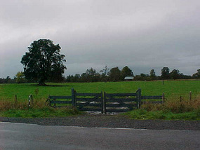 More gates