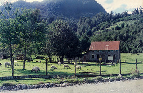 Lovely country side