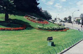 Colourful gardens
