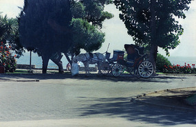 Transport
