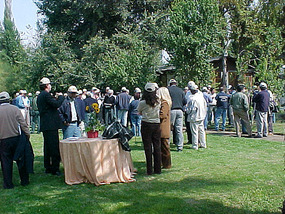 Drinks before lunch