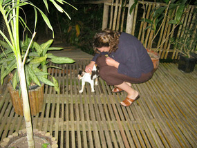 The cat who followed us home from dinner