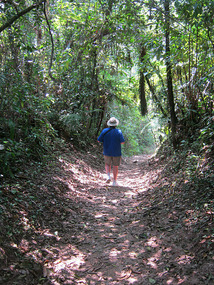 Roger goes off into the jungle