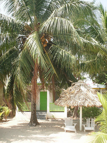 Our place with the lime green door!