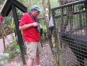 The tapir getting friendly