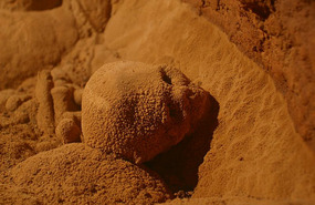 a skull with mineral "crystals'
