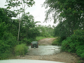 driving through a "stream"