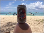 beer of the day