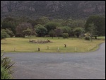 the mob in the hotel grounds in the morning