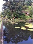 reflections 
