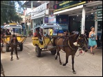 taxis