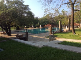 swimming pool of our hotel