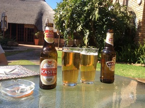 beers of the day