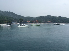 the harbour