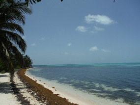 Half Moon Caye