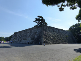 Imperial Palace gardens