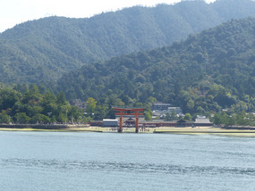 The torii