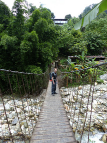 1 First of many bridges