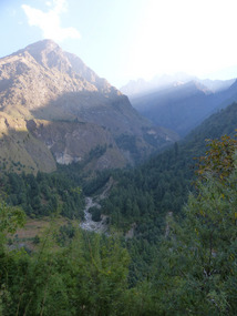 5 Alpine woodlands